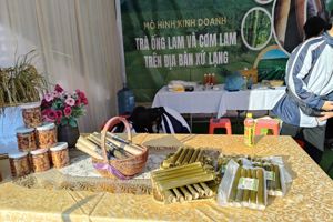 Cuộc thi “Học sinh, sinh viên với ý tưởng khởi nghiệp” cấp tỉnh Lạng Sơn năm 2024